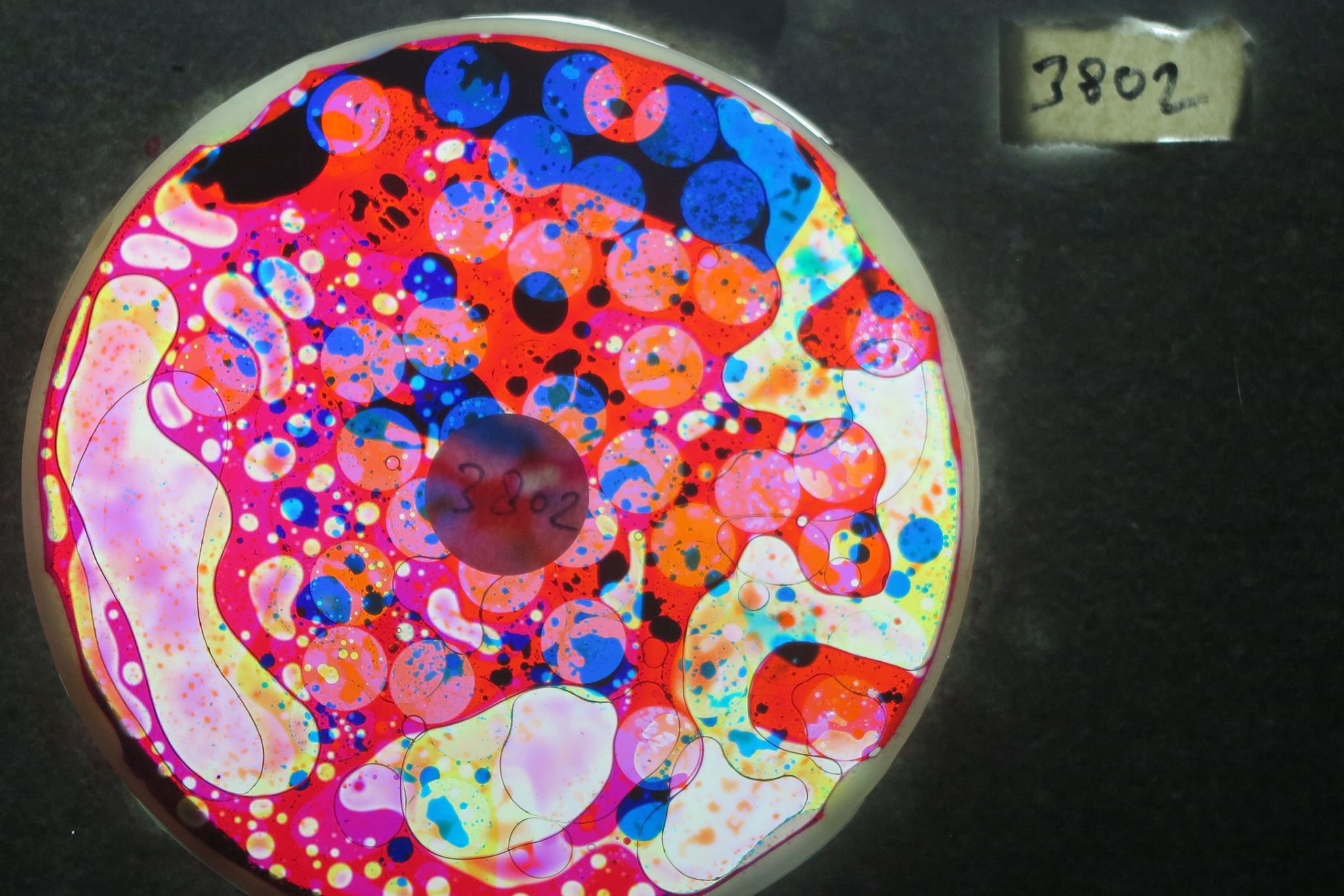 BV3802 bubble vision oil wheel